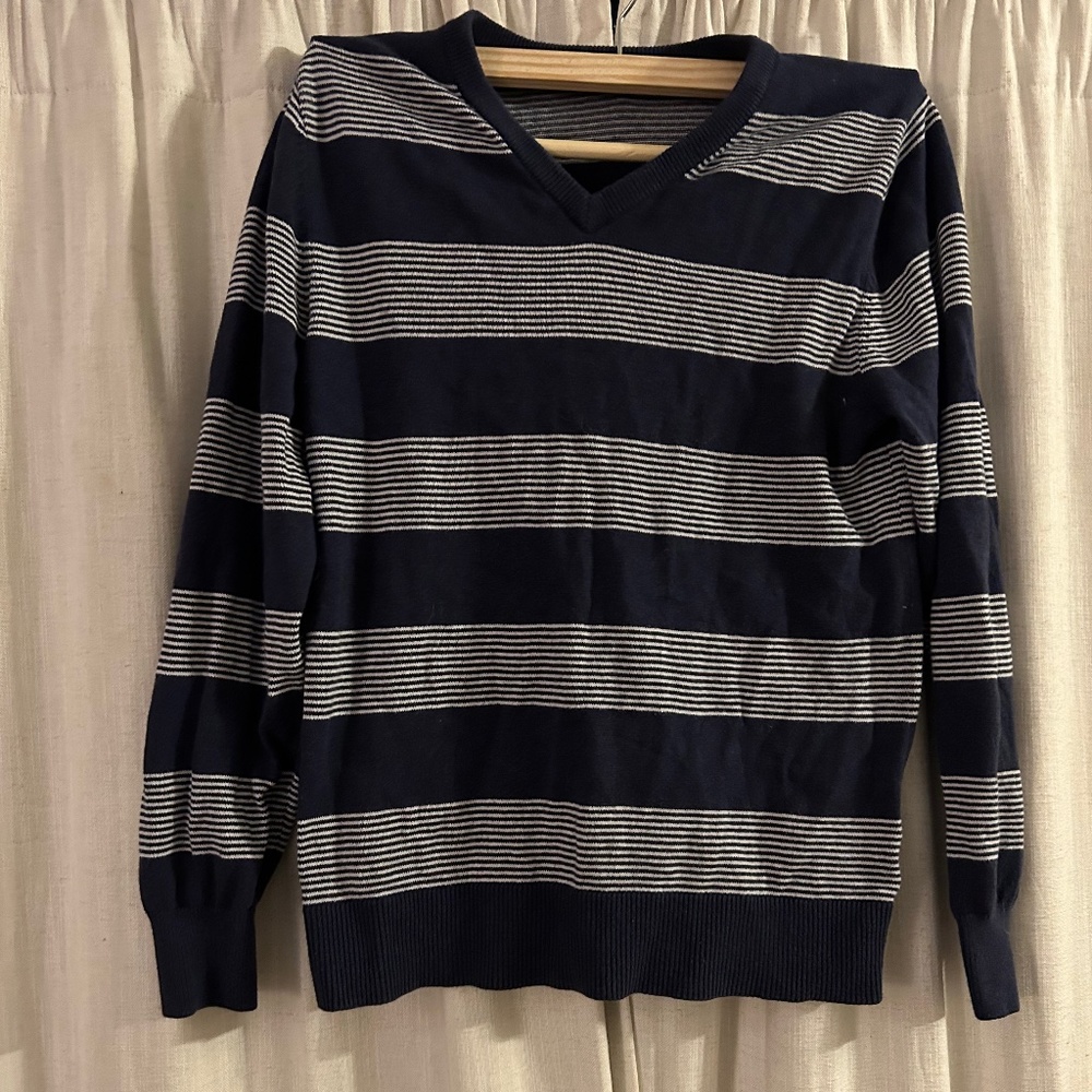 Goodfellow Blue and white striped v neck sweater
